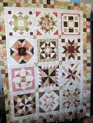 sampler quilt top